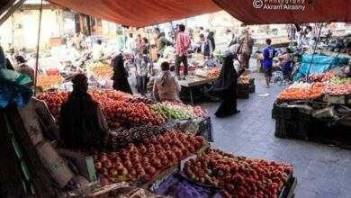 أسعار #الخضروات والفواكه بالكيلو في - صنعاء 10