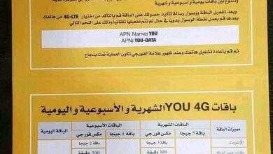 شاهد طريقه لاشتراك في النت قوة فورجي من MTN سابقاً 5