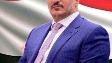 العميد طارق محمد صالح : عدن تجمعنا 8
