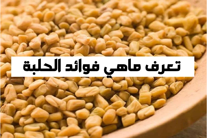 فوائد الحلبة