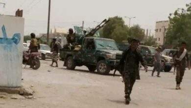 حملة أمنية مشتركة بأبين تنطلق لتعقب العناصر الإرهابية بالدلتا 1 حملة أمنية ابين