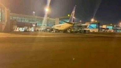مصر.. إحباط تهريب كمية من ثعابين البحر النادرة إلى الإمارات 7