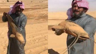 بالفيديو: مواطن سعودي يصطاد سمكة حية في صحراء السعودية تحدث صدمة على منصاة التواصل الاجتماعي