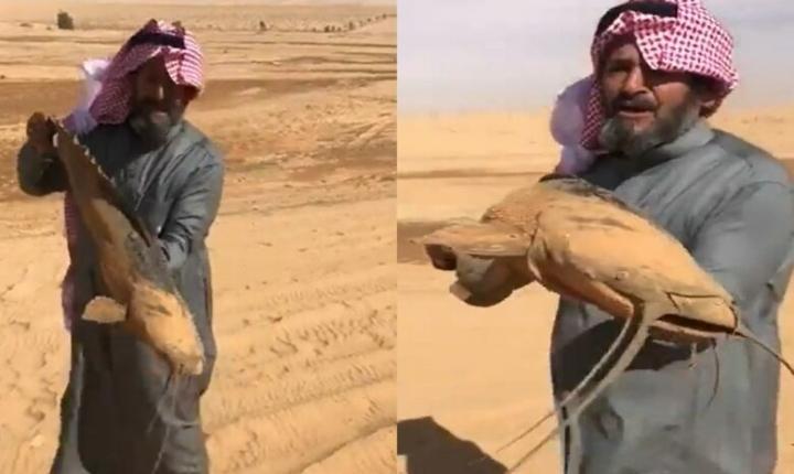 بالفيديو: مواطن سعودي يصطاد سمكة حية في صحراء السعودية تحدث صدمة على منصاة التواصل الاجتماعي