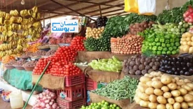 أسعار الخضروات والفواكه بسوق الجملة في المنصورة عدن 6