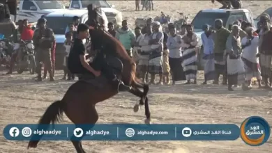 تدشين أول #سباق_للخيول في #أبين بعد توقف لعقود من الزمن - شاهد 7