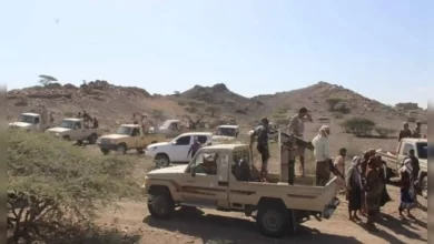 قوات درع الوطن تفض الاقتتال القبلي في لحج 8