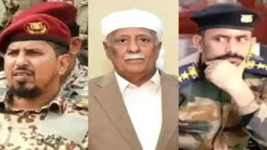 القوات المشتركة محور أبين تعلق على استهداف القفيش والزامكي والعوبان 10