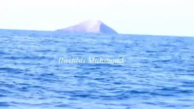 ماذا يحدث خلال شهر "مايو" في خليج عدن؟ 5