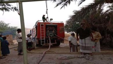 حضرموت.. حريق بمزرعة نخيل في تريم يتسبب في اتلاف هذه الكمية 6