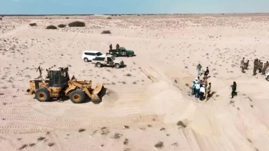 تعزيزات أمنية واخرى قبلية بمحيط مطار عدن المستقبلي (تفاصيل) 3