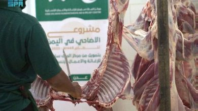 مركز الملك سلمان للاغاثة يوزع 273 أضحية في عدن 6