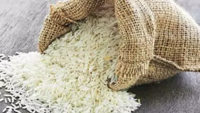 أسعار الأرز سترتفع فرض حظر تصدير الأرز 1