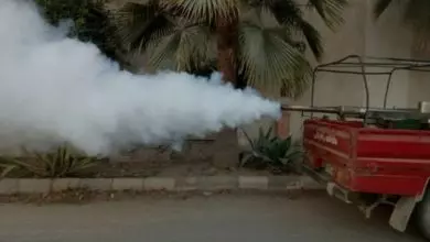 دخان لطرد البعوض يقتل طفلتين ويصيب 3 من أسرة واحدة 9