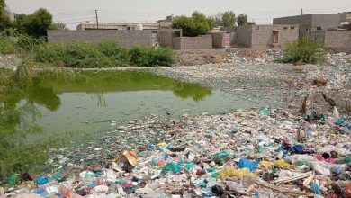 لحج.. مناشدة عاجلة لإزالة مستنقعات الموت 4