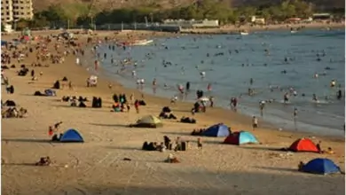إنها الأولى من نوعها .. ظاهرة غريبة انتشرت على شاطئ الغدير في عدن 5