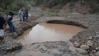 العثور على جثة امرأة ملقاة في بركة مائية 4