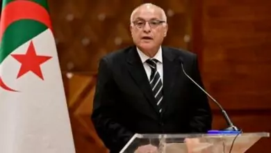 مبادرة جزائرية لحل أزمة النيجر.. هل تنجح وساطة الجيران؟ 10