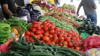 أسعار الخضروات والفواكه في سوق الجملة بعدن 7