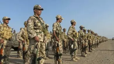 هذا سبب انتشار القوات المشتركة في باب المندب؟ 2