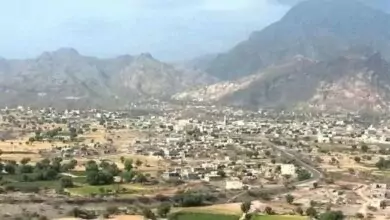 لحج.. فتاة تقدم على الانتحار بسبب منها هذا الأمر! 8