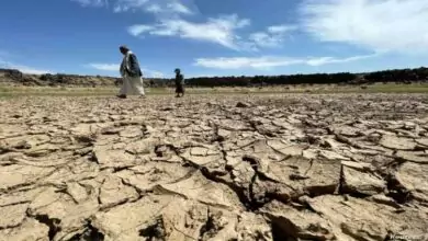 بينها اليمن .. تقرير : الجفاف يهدد 14 دولة 7