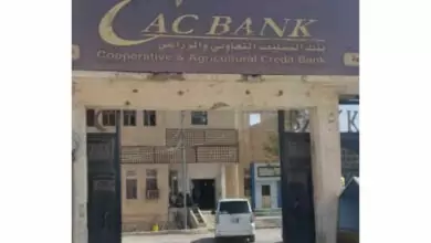 بدء صرف مرتبات الموظفين في مكتب الزراعة بشبوة عبر "كاك بنك " 10