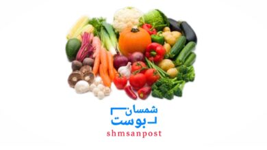 أسعار الخضروات والفواكه في عدن وصنعاء 7