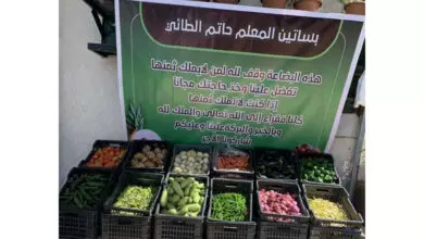 في خطوة انسانية.. صاحب بستان في صنعاء يقوم بأعمال خيرية على طريقته الخاصة. 7