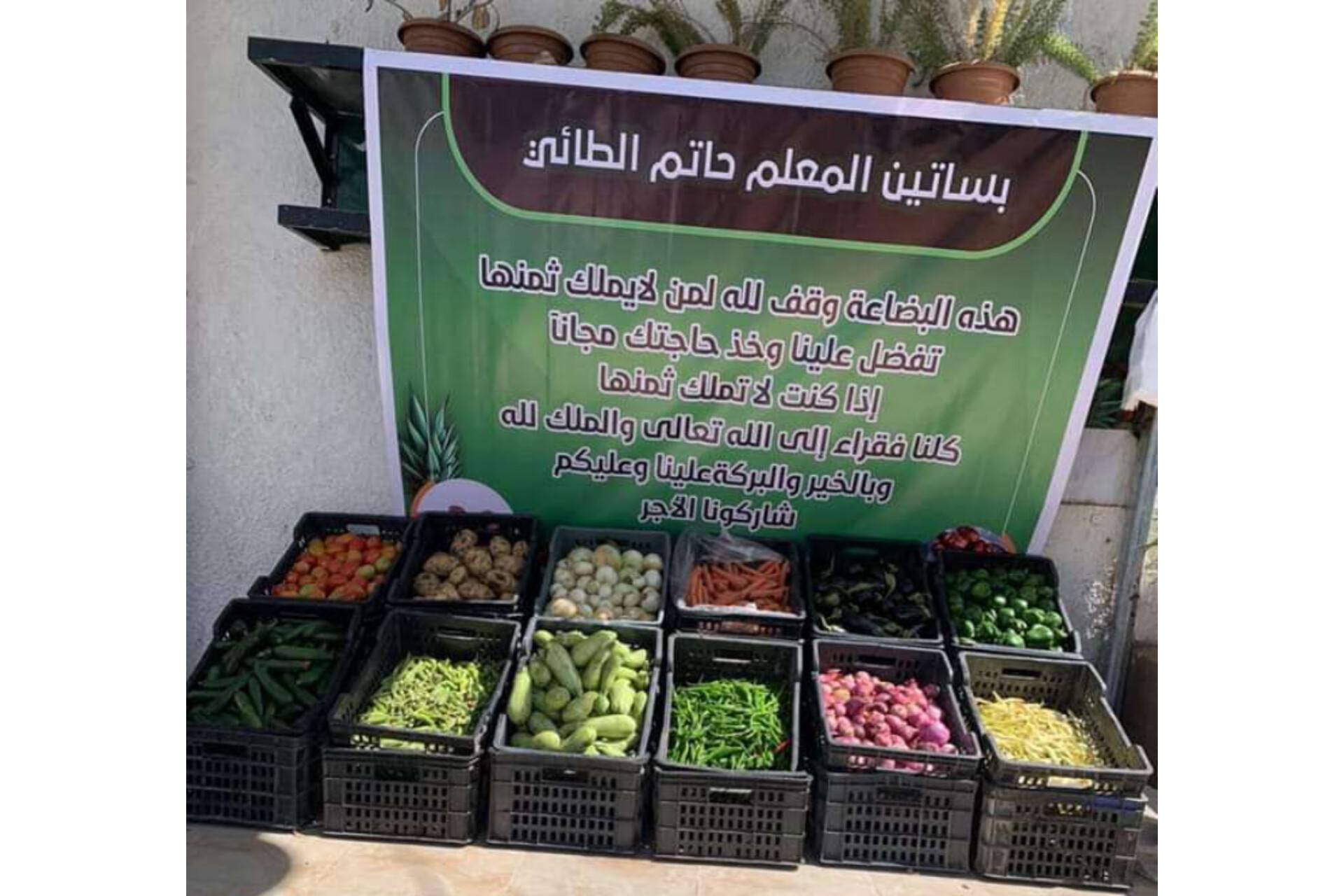 في خطوة انسانية.. صاحب بستان في صنعاء يقوم بأعمال خيرية على طريقته الخاصة.