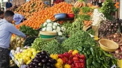 أسعار الخضروات والفواكه بسوق الجملة في المنصورة عدن الخميس - 26/10/2023 4