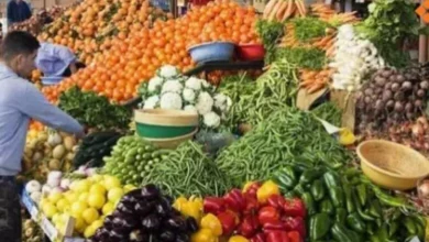 أسعار الخضروات والفواكه بسوق المنصورة بعدن 8