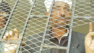 حرب اليمن : من لم يمت بالرصاص أصيب بأمراض نفسية 4