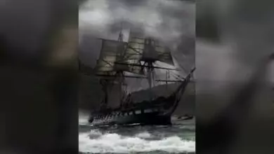 حكاية اغراق سفينة " دوريا دولت" في عدن .. وما خلفها أعظم 8