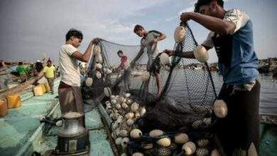 قراصنة يستولون على قارب صيد يمني على متنه 34 صياداً 4
