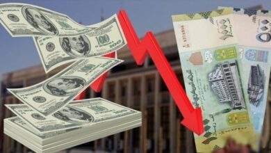 محلل اقتصادي يكشف عن الطريقة الوحيدة لتحقيق استقرار العملة 11