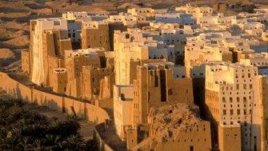 العثور على ثلاث مومياوات أثرية شرق محافظة حضرموت 5