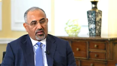 رئيس المجلس الانتقالي الضربات الجوية ضد الحوثيين ليست كافية دون وجود قوات (تفاصيل) 3