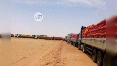 ارتفاع أسعار البصل.. من المسؤول عن جفاف السوق ووصول الكيلو إلى هذا السعر؟ 4