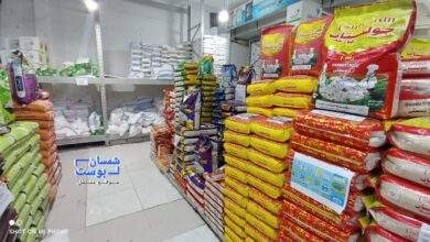 ارتفاع الأسعار وتدهور الخدمات أبرز هموم المواطنين مع استقبالهم شهر رمضان المبارك 2
