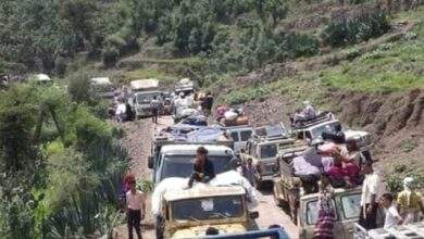 صحيفة إماراتية : المفاوضات في اليمن فشلت لهذا السبب 6