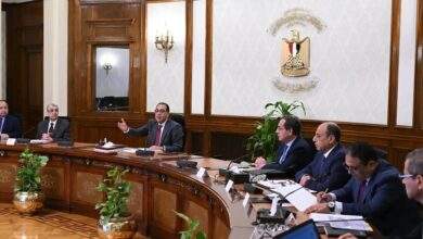 الحكومة المصرية تقدم استقالتها للسيسي 4