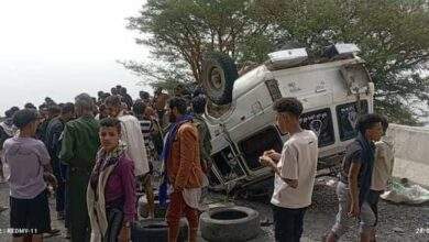 وفيات وجرحى إثر حادث مروع في تعز 2