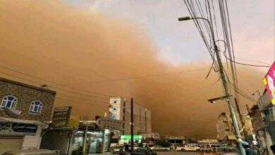 عاصفة رملية تضرب محافظتي حضرموت وشبوة 7