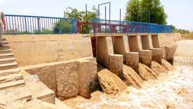 مياه السيول في أبين : ثروات مهدرة وأراضٍ جدباء 6