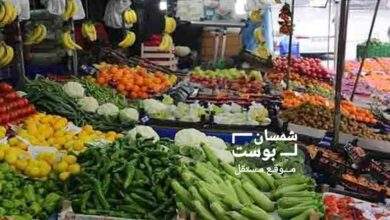 أسعار الخضار والفواكة اليوم الخميس 2024/10/24 5