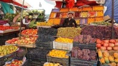 أسعار الخضروات والفواكه في صنعاء اليوم الاثنين 23-9-2024 11