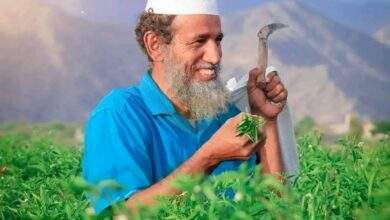 أبين.. دعوة إلى العودة للزراعة والاعتماد على الأرض 1