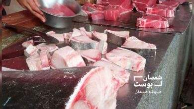 هبوط جديد في أسعار الاسماك ليوم الإثنين 7 أكتوبر 2024 5