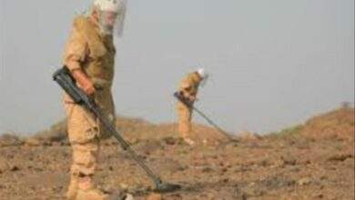 في أقل من شهر.. مسام يعلن انتزاع 4578 لغم 3